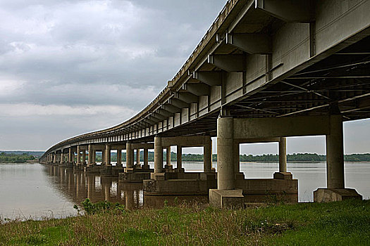 bạch thu mien bac