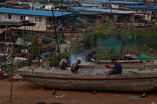 gà đá đẹp nhất việt nam